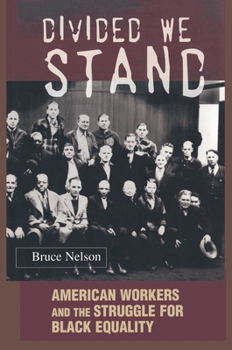 Divided We Stand: American Workers and the Struggle for Black Equality (Politics and Society in Twentieth Century America) - Book  of the Politics and Society in Modern America