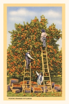 Paperback Vintage Journal Picking Oranges in Florida Book