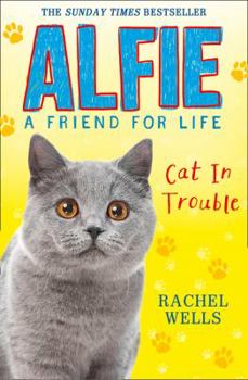 Paperback Alfie Cat in Trouble Book