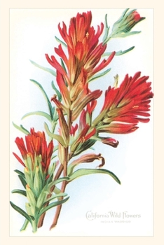 Paperback The Vintage Journal California Wildflowers, Indian Warrior Book