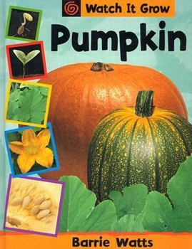 Library Binding Pumpkin Book