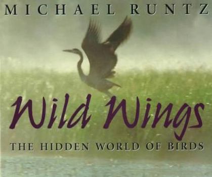 Hardcover Wild Wings: The Hidden World of Birds Book
