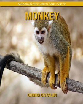 Monkey: Amazing Pictures and Facts