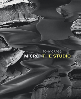 Hardcover Tony Cragg: Micro: The Studio Book