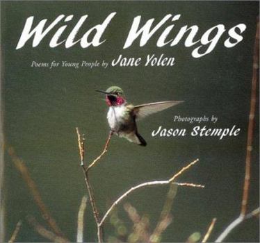 Hardcover Wild Wings Book