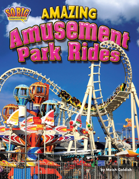 Paperback Amazing Amusement Park Rides Book