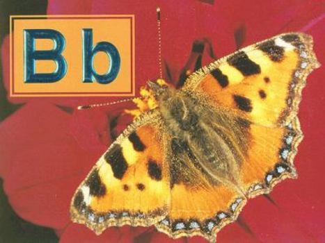 Paperback Bb Book