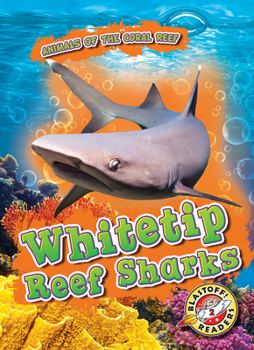 Library Binding Whitetip Reef Sharks Book