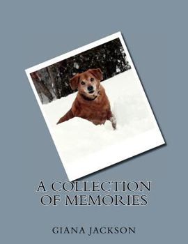Paperback A Collection of Memories Book