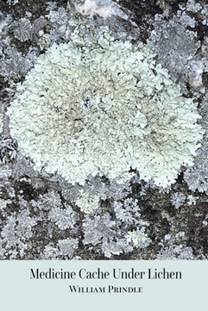 Paperback Medicine Cache Under Lichen Book