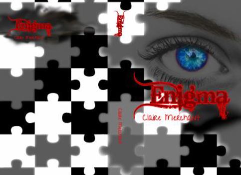 Paperback Enigma (Visionary Series) Book