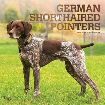 Calendar German Shorthaired Pointers 2021 Square Foil Book
