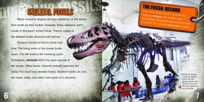Paperback Dinosaur Fossils Book