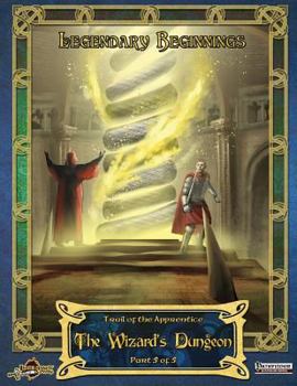 Paperback The Wizard's Dungeon Book