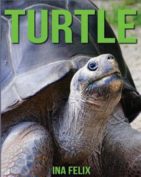 Paperback Turtle: Children Book of Fun Facts & Amazing Photos on Animals in Nature - A Wonderful Turtle Book for Kids aged 3-7 Book