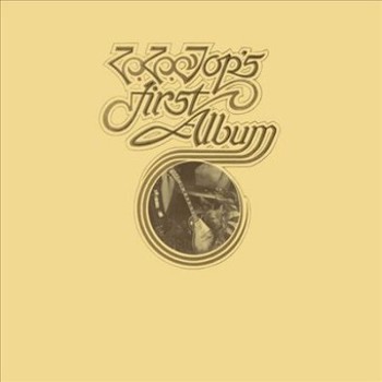 Vinyl ZZ Top's First Album Book