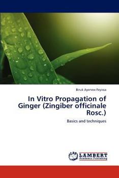 Paperback In Vitro Propagation of Ginger (Zingiber officinale Rosc.) Book