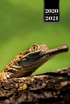 Crocodile Alligator Gharial Caiman Reptile Week Planner Weekly Organizer Calendar 2020 / 2021 - Small Cheeky: Cute Wildlife Animal Pet Bullet Journal Notebook Diary in 6" x 9" Inch Pocket Size
