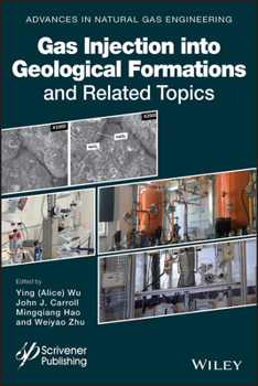 Hardcover Gas Injection Into Geological Formations and Related Topics Book