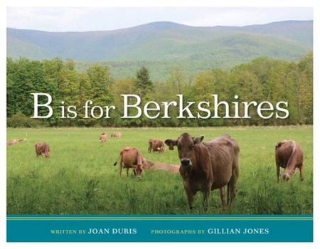 B is for Berkshires
