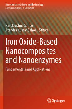 Paperback Iron Oxide-Based Nanocomposites and Nanoenzymes: Fundamentals and Applications Book