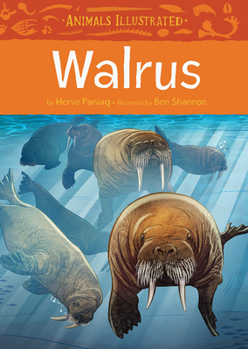 Hardcover Animals Illustrated: Walrus Book