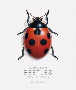 Hardcover Beetles: And Other Insects Book
