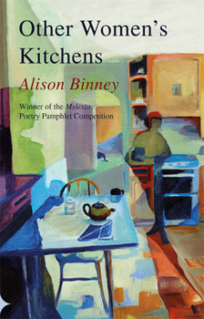 Paperback Other Women's Kitchens Book