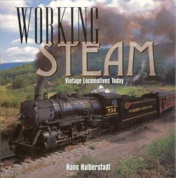 Hardcover Working Steam: Vintage Locomotives Today Book