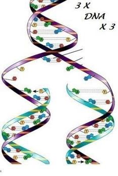 Paperback 3 X DNA X 3 Book
