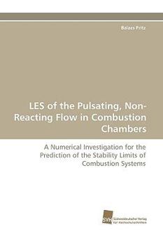 Paperback Les of the Pulsating, Non-Reacting Flow in Combustion Chambers Book