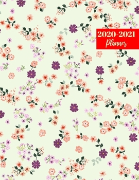 Paperback 2020-2021 Planner: Simple Jan 1, 2020 to Dec 31, 2021: Daily, Weekly & Monthly View Planner, Organizer & Diary Book