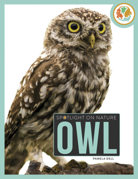 Paperback Owl Book