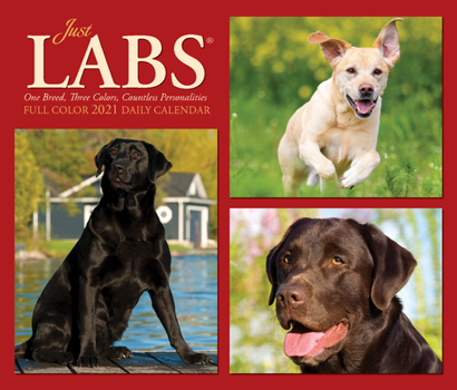 Calendar Just Labs 2021 Box Calendar (Dog Breed Calendar) Book