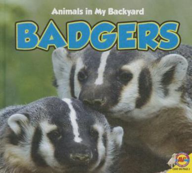 Badgers - Book  of the Animals in My Backyard