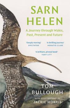 Paperback Sarn Helen Book