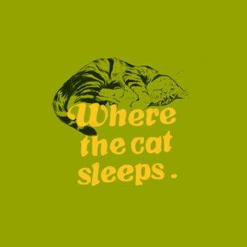 Hardcover Where the Cat Sleeps Book