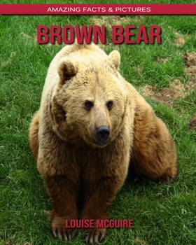 Brown Bear: Amazing Facts & Pictures