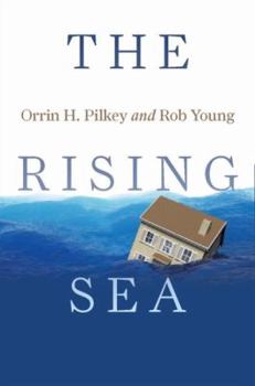 Hardcover The Rising Sea Book