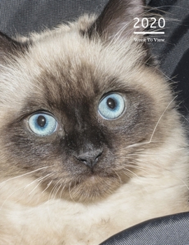 2020 A4 Diary Week To View Planner For All Occasions: | Year Planner For Business, Office, Home, University, College, School, Appointments, Organizer.