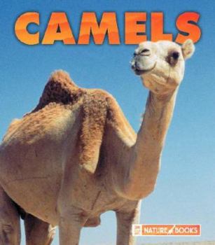 Library Binding Camels Book