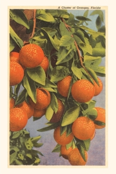 Paperback Vintage Journal Oranges, Florida Book