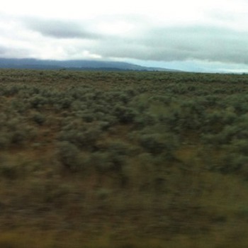 Vinyl 50,000,000 Elvis Fans Can't Be Wrong Book