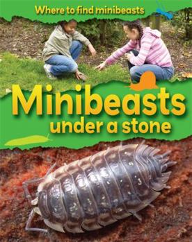 Paperback Minibeasts Under a Stone Book