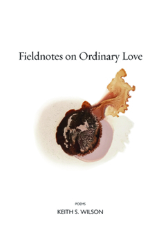 Paperback Fieldnotes on Ordinary Love Book