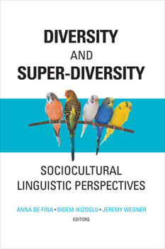 Hardcover Diversity and Super-Diversity: Sociocultural Linguistic Perspectives Book