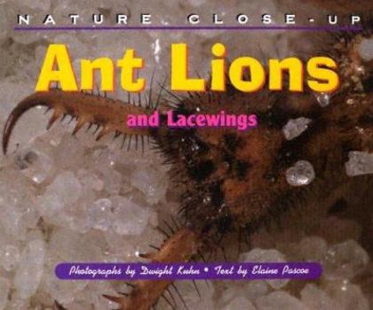 Library Binding Ant Lions: And Lacewings Book
