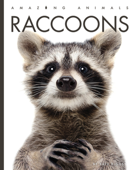 Raccoons - Book  of the Amazing Animals
