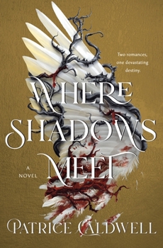 Hardcover Where Shadows Meet Book