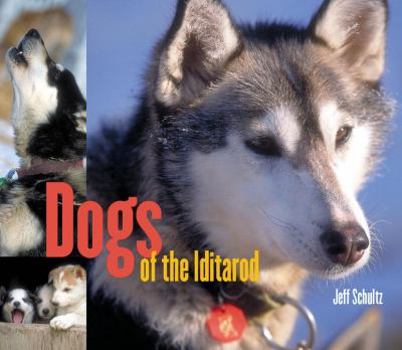 Paperback Dogs of the Iditarod Book